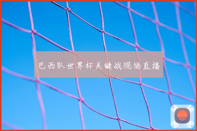 巴西队世界杯关键战现场直播