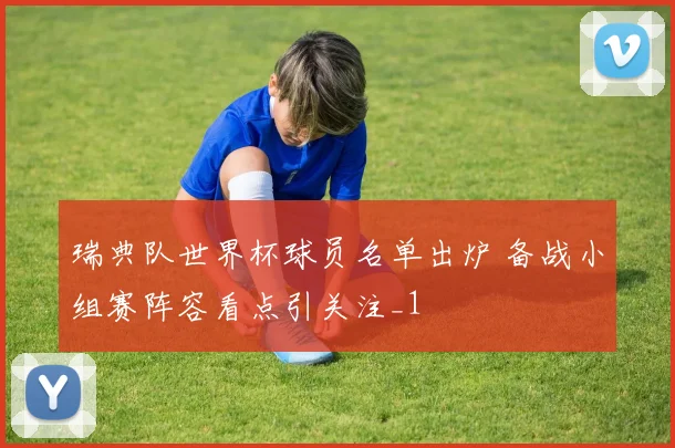 瑞典队世界杯球员名单出炉 备战小组赛阵容看点引关注_1