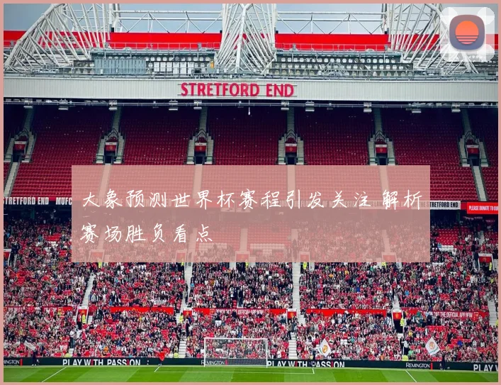 大象预测世界杯赛程引发关注 解析赛场胜负看点